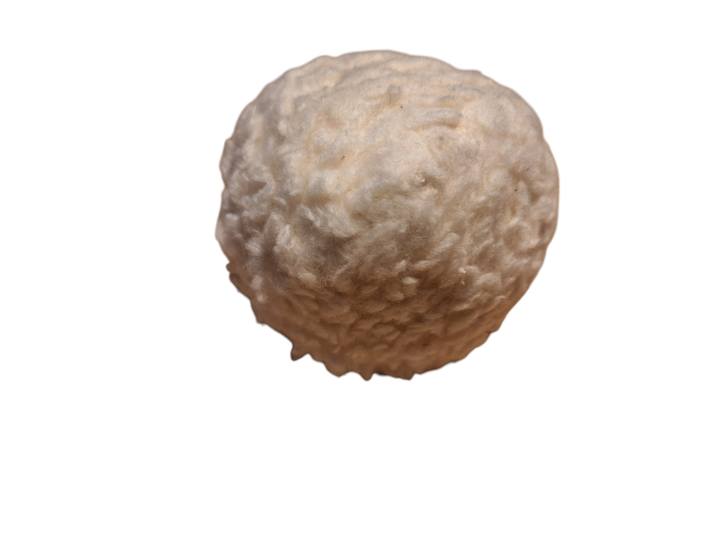 Bio Hundeball kuschelig
