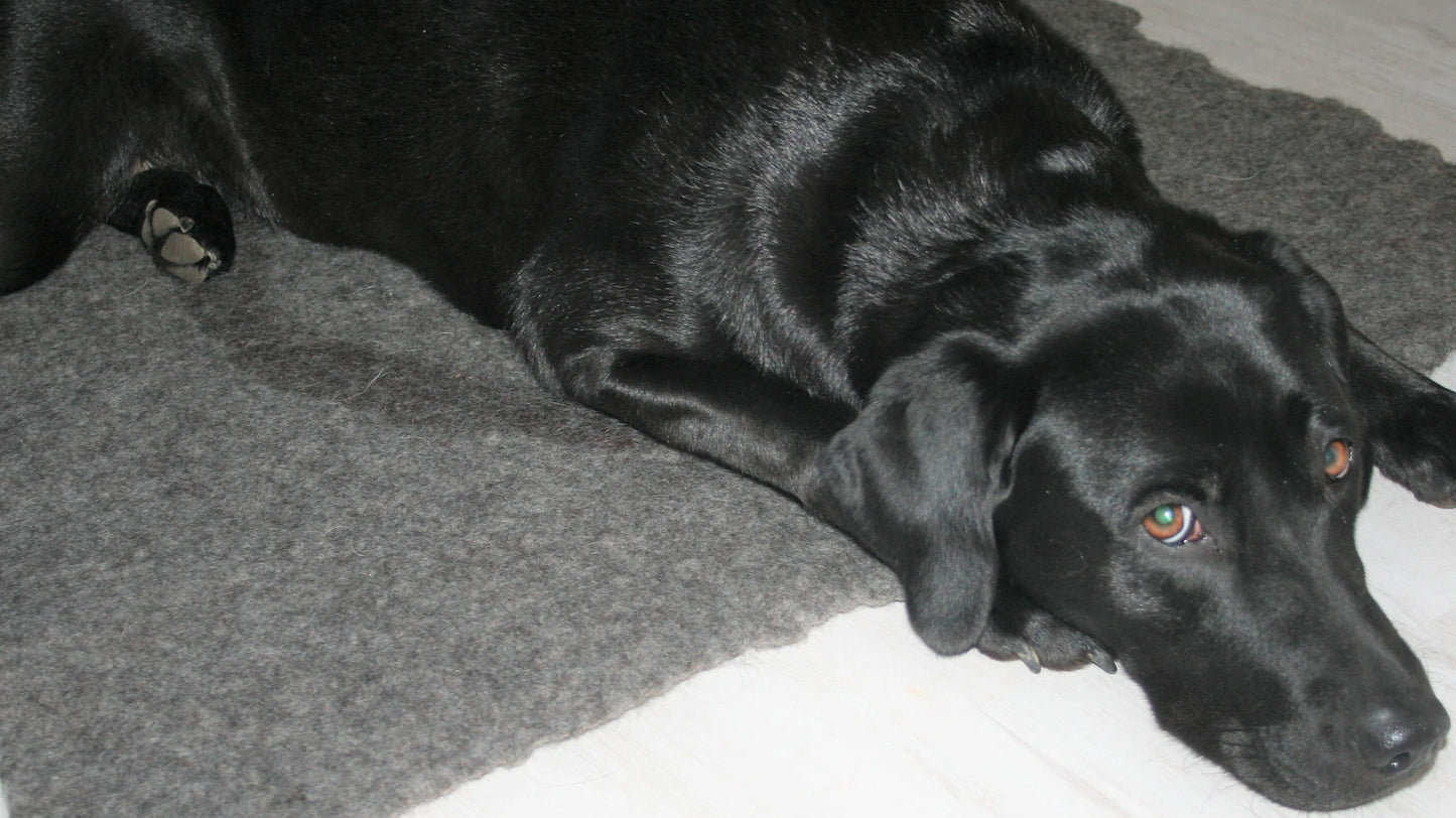 Hundedecke
