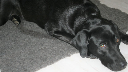Hundedecke