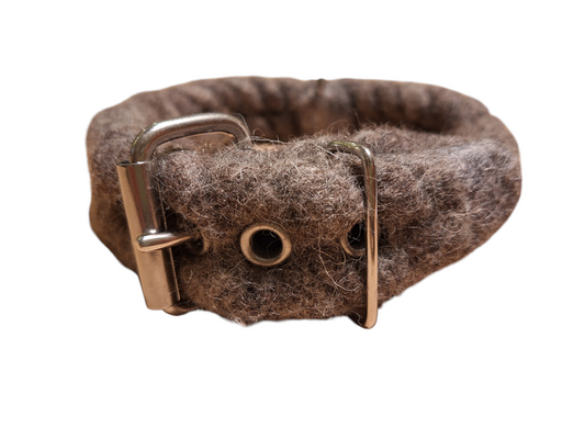 Halsband mit Rollschnalle