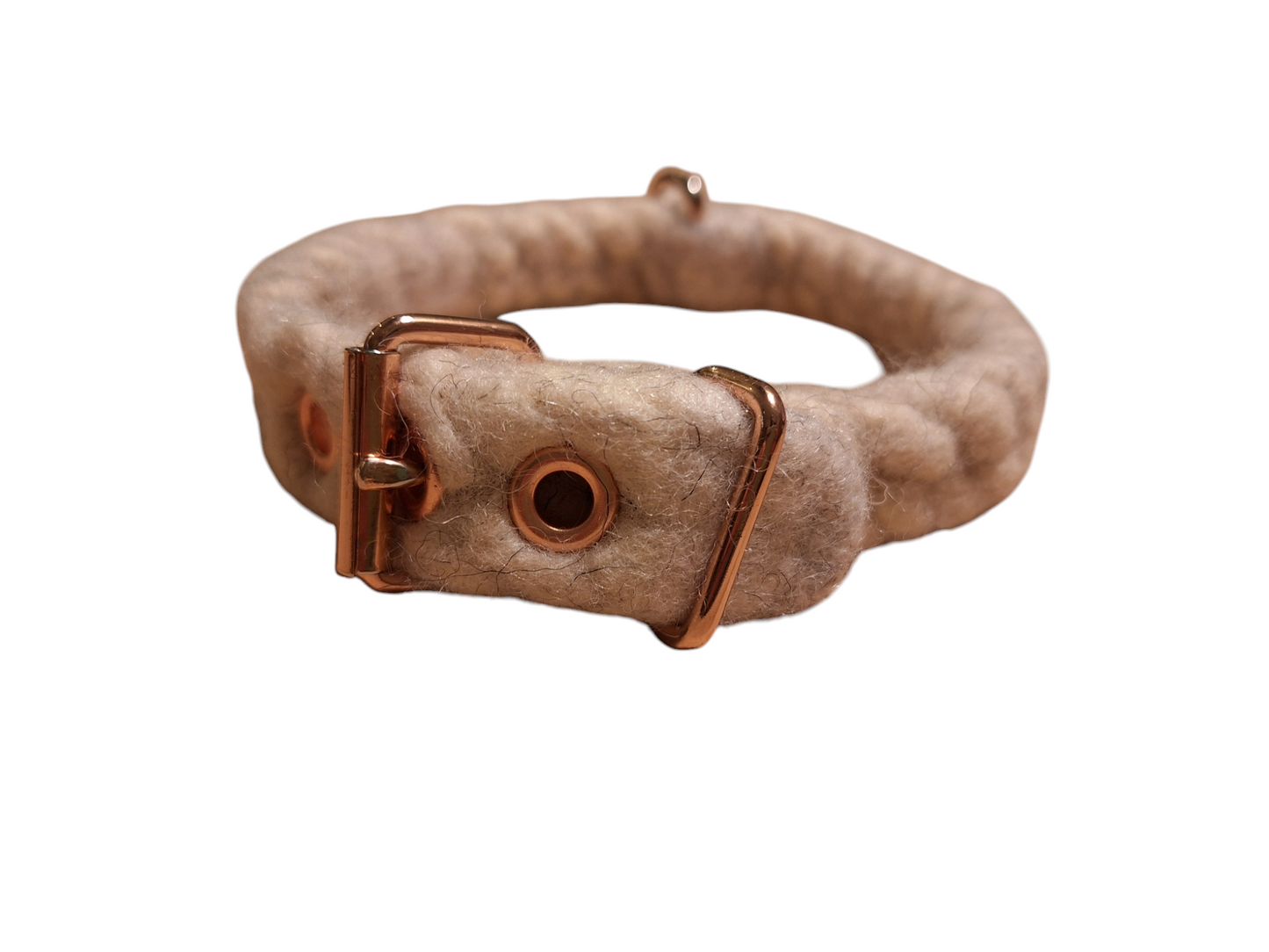 Halsband mit Rollschnalle