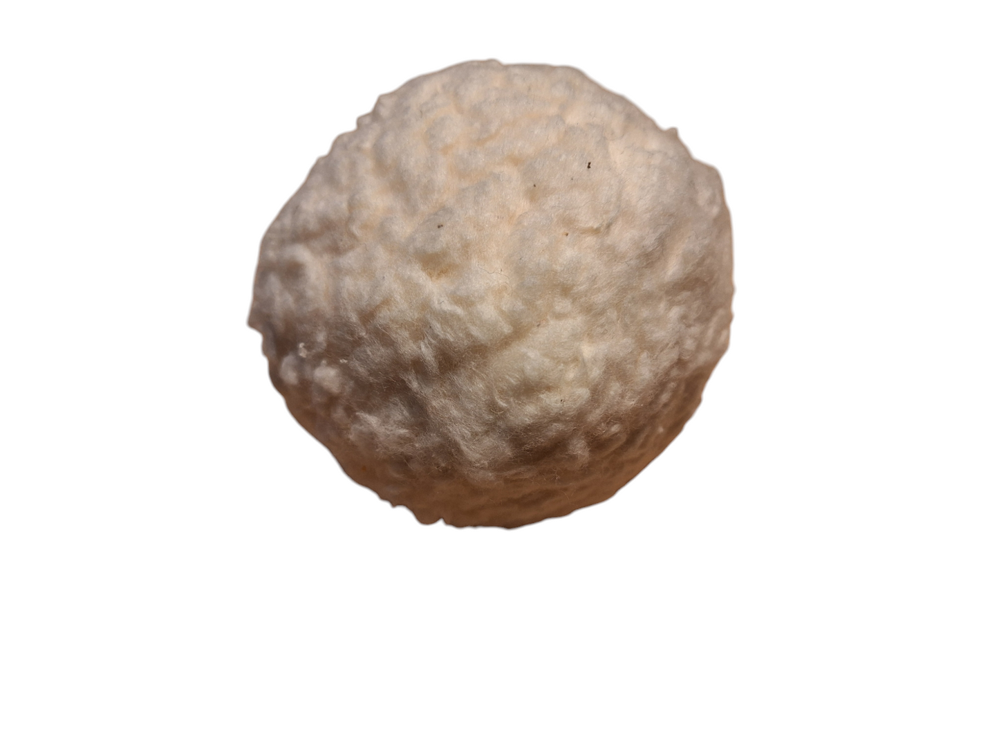 Bio Hundeball kuschelig